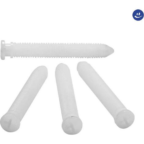 Viti fissaggio placca per modello sara ed eco CASSETTE PUCCI (1/5)