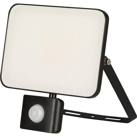 Projecteur à LED RS PRO, 30 W, IP65, 125 lm, 4000K, avec détecteur, 1 LED ( Prix pour 1 )