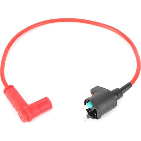 Módulo de bobina de luz adaptado para GX22 / 110cc 125cc 150cc 200cc 250cc Dirt Pit ATV Quad moto (1/5)