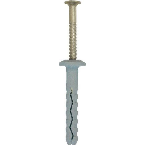 FRIULSIDER TBB 62102 TASSELLO PREMONTATO BORDO PIATTO VITE INOX A2 6x60 100 PZ (1/5)