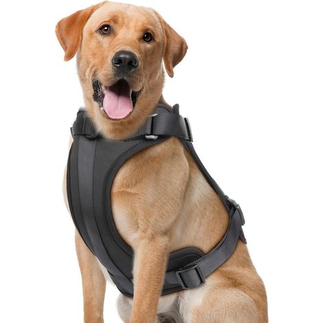 Harnais anti-traction pour chien de toutes tailles, gilet respirant ajustable avec rembourrage doux pour plus de confort, noir, XS