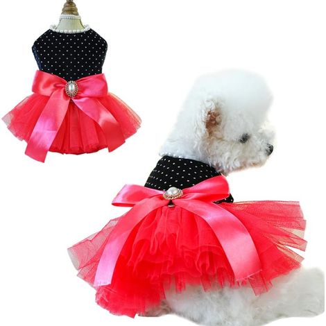 Vestido negro para perro con lunares blancos y anilla en D, traje de boda para cachorros pequeños (machos y hembras), traje de cumpleaños para gatos, vestido tutú rojo para gatitos. (1/5)