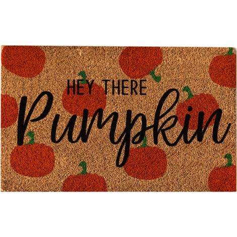 Tapis de porte citrouille WRXMIJNHGSA Décoration citrouille Tapis de porte humoristique Tapis de bienvenue automne Tapis décoratif automne (1/2)