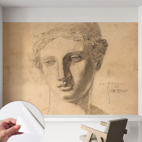 Tapete adhésive moderne pour salon et chambre à coucher Décoration rapide avec colle Portrait féminin 152x104 cm (1/5)