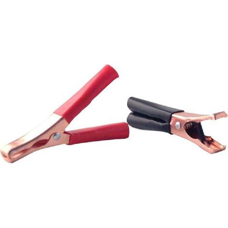 Cartec 2 Pinces de Charge 60A (1/5)