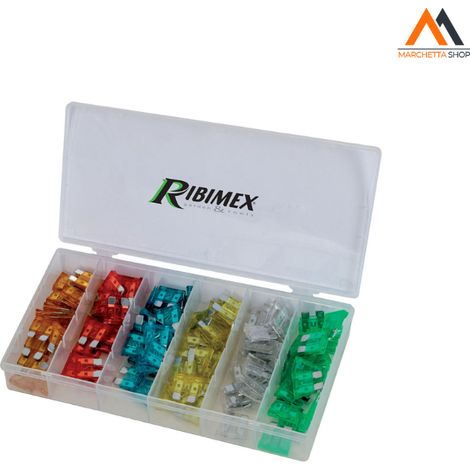 ASSORTIMENTO FUSIBILI 120 pezzi