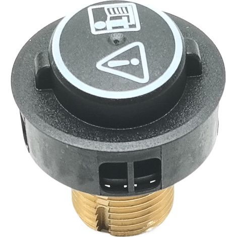 Compatible avec Kärcher SC4 et SC5 : soupape de sécurité dédiée, soupape de vapeur et chapeau de chaudière (référence 4.580–760.0) (1/3)