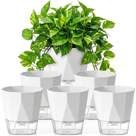 Lot de 6 Pots à Fleurs - Réservoir d'Eau Intégré - Plastique Blanc - Système Auto-Arrosage - Intérieur et Balcon - 17x19 cm (1/5)