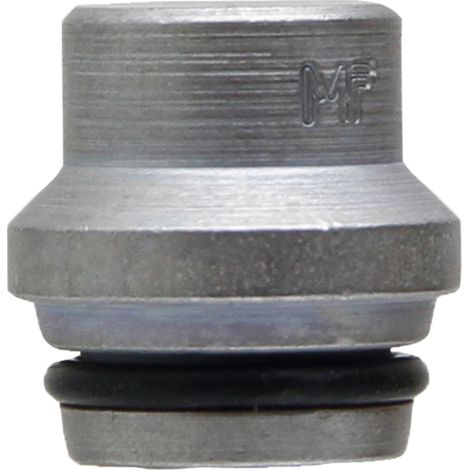 Tappo idraulico fiØ 6 mm 500 BAR 50001 (1/3)