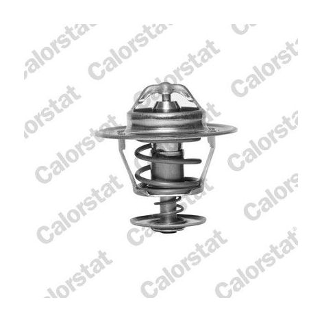 Thermostat, liquide de refroidissement CALORSTAT by Vernet TH6007.88J 1658103