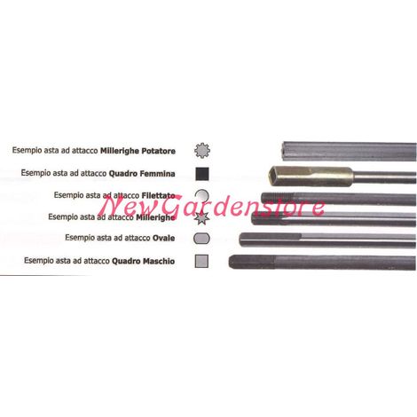 Asta trasmissione interna NEWGARDENSTORE 028925