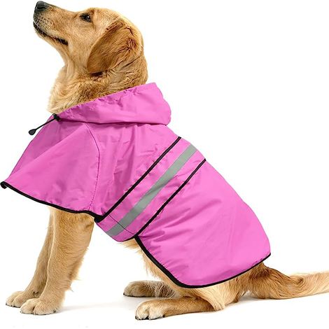 1 imperméable pour chien, capuche ajustable, bandes réfléchissantes, protection pluie, usage extérieur et promenade (1/5)