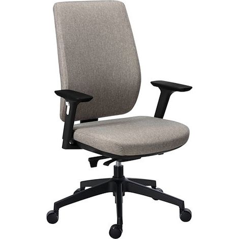 Chaise de bureau Prega tissu avec accoudoirs réglables 3D - gris - Maxiburo (1/5)