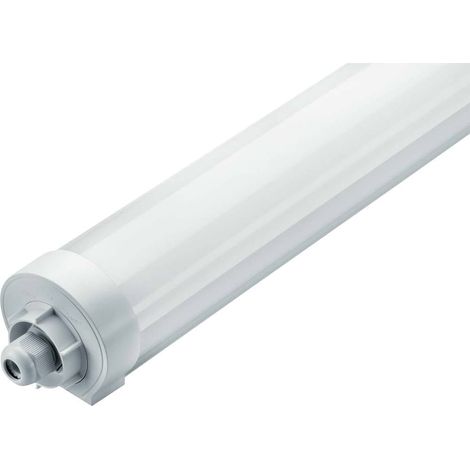 Thorn ECO LUCY lampada bianca 40 W 4000 K IP66
