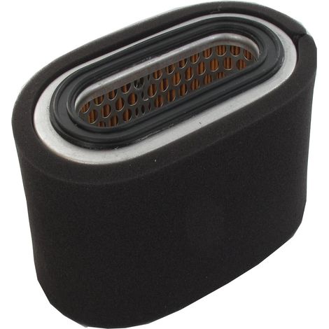 Outdoor Power Sport 5951 Filtre à air adaptable Robin