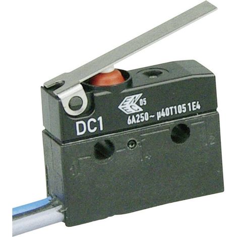 ZF DC1C-C3LC Microrupteur DC1C-C3LC 250 V/AC 6 A 1 x On/(On) IP67 à rappel 1 pc(s)