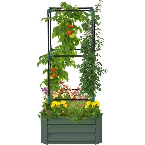 Gran maceta para exteriores con enrejado y fondo abierto para plantas trepadoras 61 x 61 x 140 cm Verde (1/5)