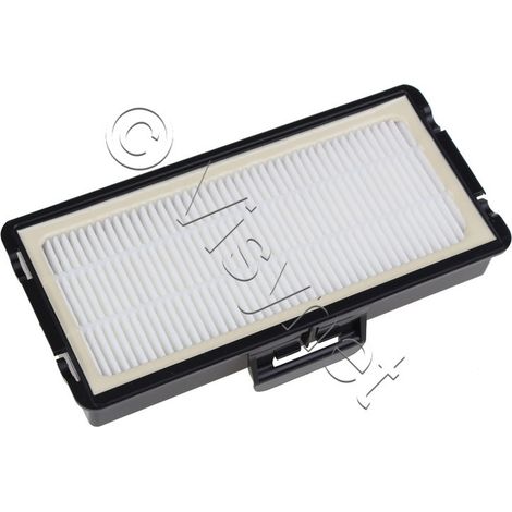 FILTRE HEPA BBZ152HF pour PIECES ASPIRATEUR NETTOYEUR PETIT... (1/3)