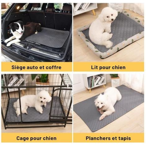 Tapis D Entrainement - 50 x 70 cm - Pour Chien Et Chat - Absorbant Impermeable Antiderapant - Lavable Reutilisable - Gris - Lot De 2 (1/5)