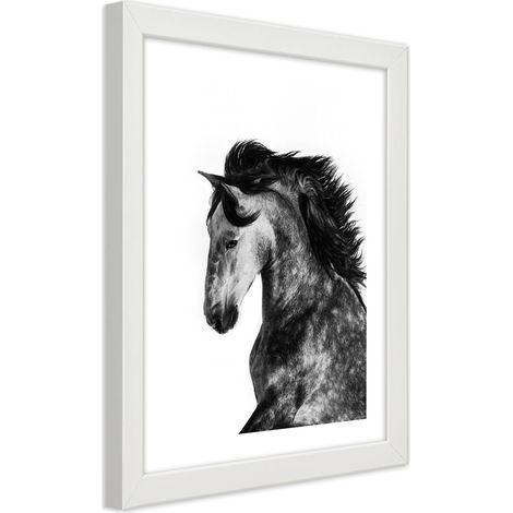 Quadro con cornice, Cavallo selvaggio - 20x30 (1/5)