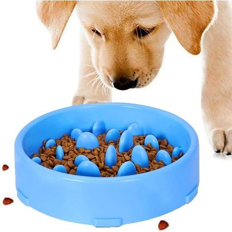 Gamelle d'alimentation Lente pour Chiens, Slow Feeding Conception Anti-dérapante Fun Interactive Nourrir Les Chats et Les Chiens pour Bol, Favorise Une Alimentation Saine(Bleu) (1/5)