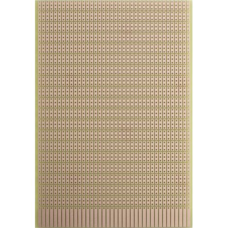 Rademacher WR-Typ 946 Prüfungsplatine Hartpapier (L x B) 16 mm x 10 mm 35 µm Rastermaß 2.54 mm Inha