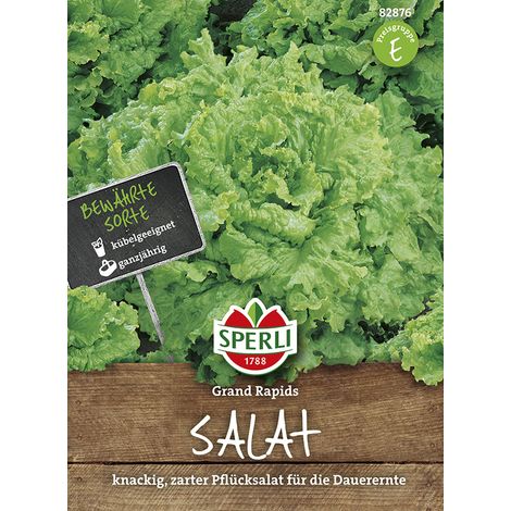 Sperli – Laitue à couper Grand Rapids (Lactuca sativa) – Graines de légumes, feuilles frisées, hauteur env. 15 cm (1/2)