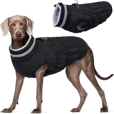 Manteau Chien Imperméable, Veste Chien, XL (1/4)