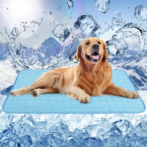 Tapis rafraîchissant réutilisable 50x40cm pour chiens, tapis de voyage pliable pour animaux de compagnie, coussin auto-rafraîchissant pour chiens (1/4)