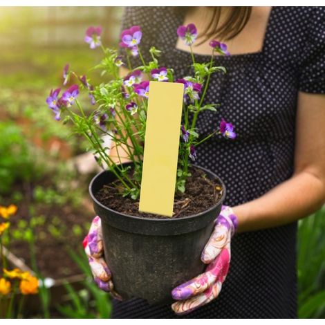 Lot de 100 étiquettes PVC pour plantes, fleurs, potager et jardin (blanc, jaune) (1/5)
