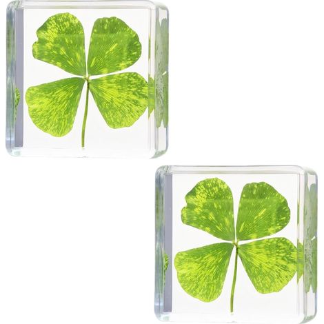 Deux cubes en résine transparente avec de vraies fleurs (1/5)