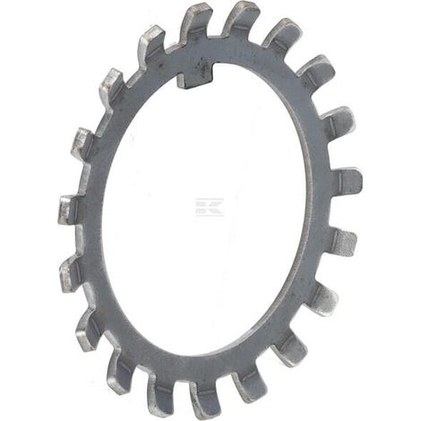 Nasenscheibe KUHN 80298020 (1/2)