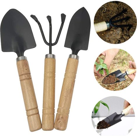 Set mit 3 Gartengeräten: Mini-Holzspaten, Pflanzkelle, Sukkulenten
