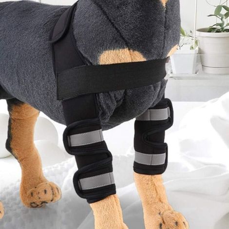 Dog Front Leg Brace, Dog Front Leg Brace with Sve Portage, 1P Reflection on the for with Sved Portage (M) (1/5)