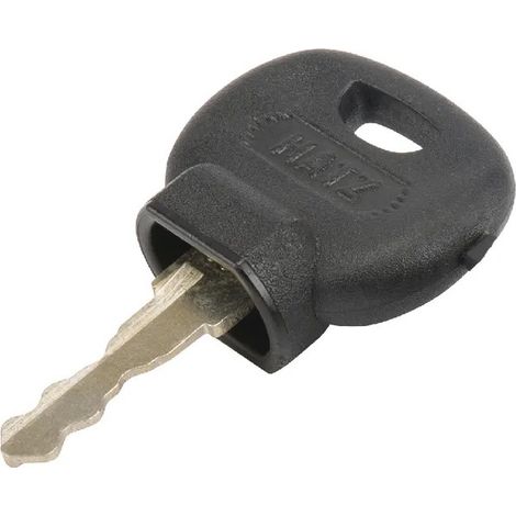 Llave de contacto para tractor autopropulsado park Diesel GGP - 118210027/0