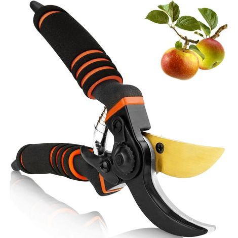 Sécateur de jardin professionnel en titane, ciseaux de jardin, sécateur de jardin, cadeau pour branches, haies et fleurs (1/5)