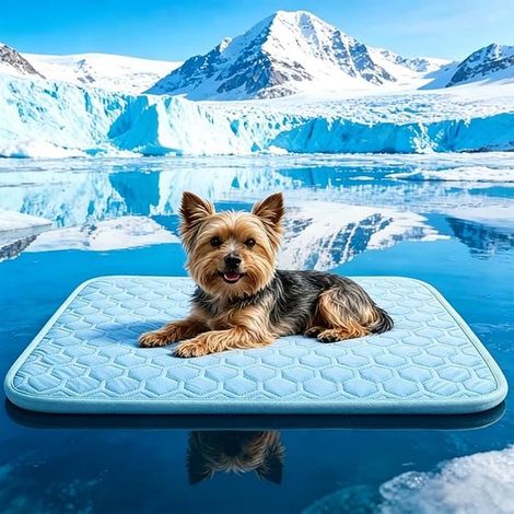 Tappetino rinfrescante per cani - Autoraffreddante - Antiscivolo - Lavabile - Portatile - 38 x 48 cm - Per cani e gatti - Uso esterno e interno (1/5)