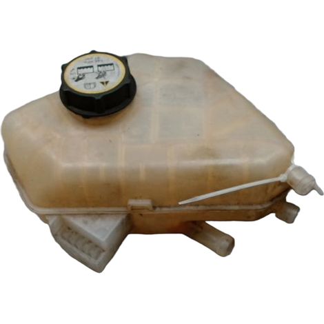 Vase Expansion FORD Fiesta [PRODUIT D'OCCASION]♻️1513111