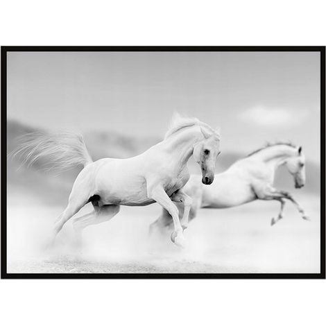 Bild Poster im Rahmen 43x33 cm Pferde P901 (1/3)