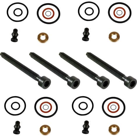 4x Pumpe Düse Dichtungssatz + Expansionsschraube Reparatursatz Spezialanfertigung für VW 1.9+2.0 TDi