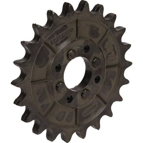 Rueda dentada G66248166R GASPARDO G66248166R
