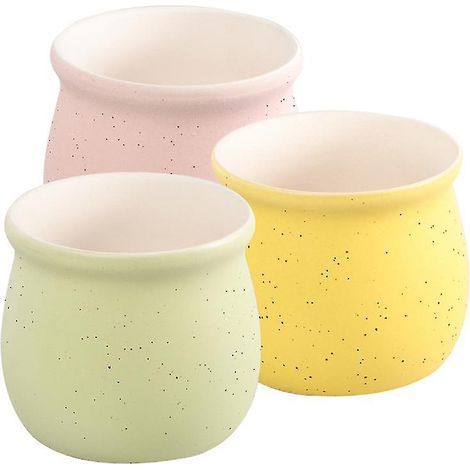 Lot de 3 plantes succulentes en pot (1/3)