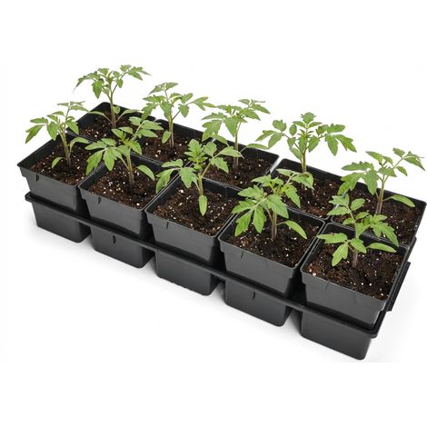 Garronda Anzuchtschale 10 Plätze mit 1 L Pflanztöpfen eckig Set Transporttray Kunststoff für Gewächshaus Garten Anzuchtsysteme mechanischen Transport Schwarz GD-0208