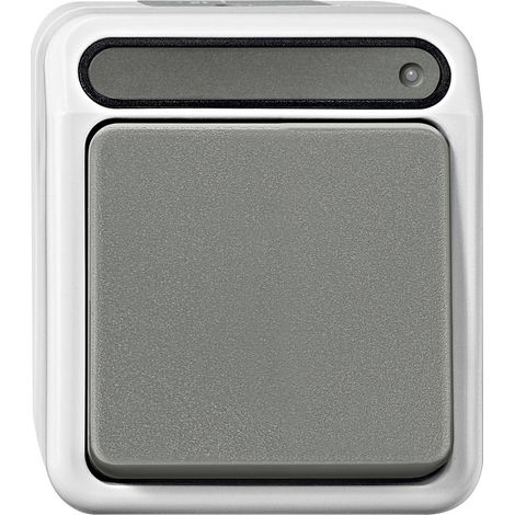 Schneider Electric MEG3106-8029 Interrupteur étanche gris (1/2)