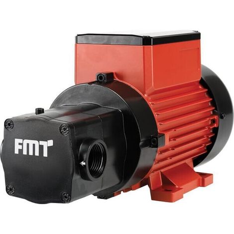 Pompa gasolio 230 V 100 l/m FMT 23433