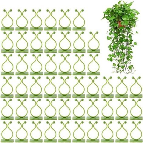 Kletterpflanzenclips, 50 Stück, Wandhalterungen, Etiketten (1/5)