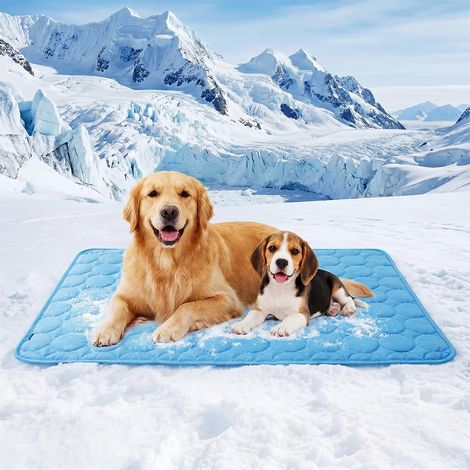 Tapis Rafraichissant Chien - 1 Pièce - Nylon Et Polyester - Refroidissement Automatique - Pour Lit Et Voiture - 70 x 55 cm Bleu Foncé (1/5)