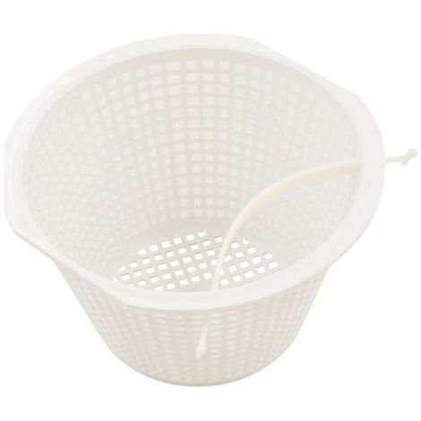 Panier Filtre de Skimmer Pentair B-172 – Remplaement pour Écumeur de Piscine (1/4)