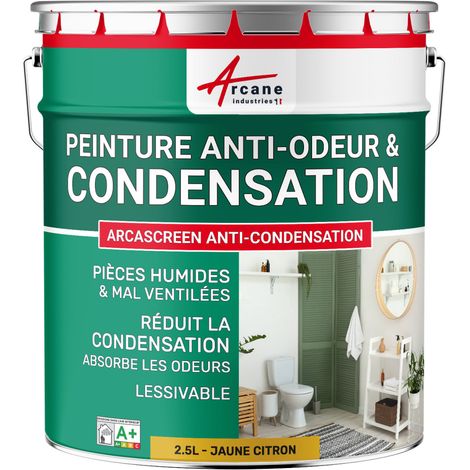 Peinture anti condensation, anti odeur, moisissure - 2.5 L Jaune citron - RAL 1012 - ARCANE INDUSTRIES