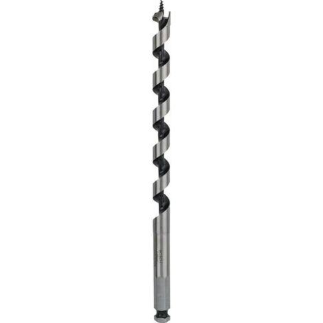 PUNTA PER LEGNO/TRAVI  BOSCH LUNGHE  D.10x600 mm